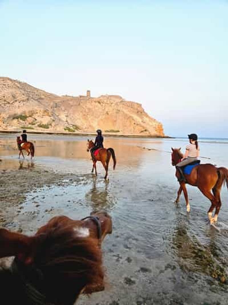 Billet Randonnée à cheval à Muscat | Randonnée à cheval sur la plage