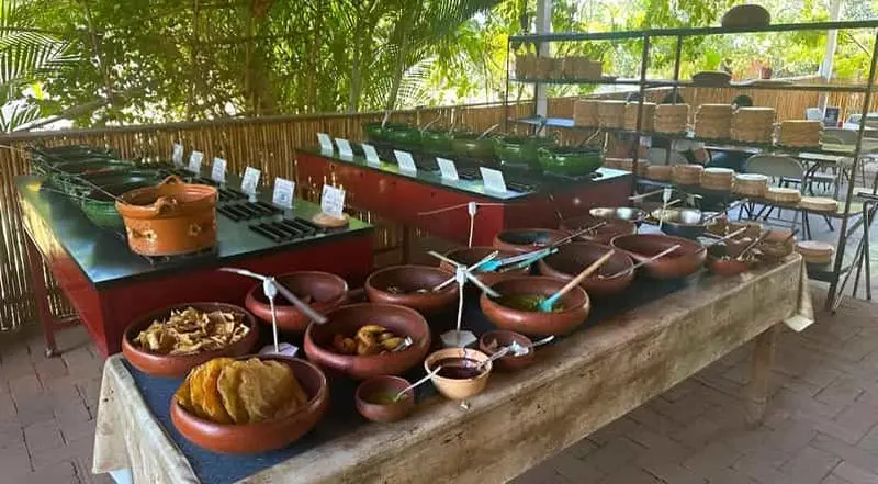 Billet Oaxaca : visite d'une journée complète à Monte Alban, mezcal ancestral, alebrijes et argile noire