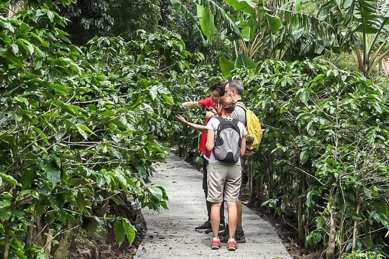 Monteverde : Excursion d'une journée au café, au chocolat et à la canne à sucre