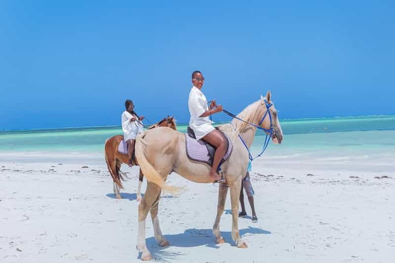 Billet Zanzibar : équitation et kayak avec vidéo et photos