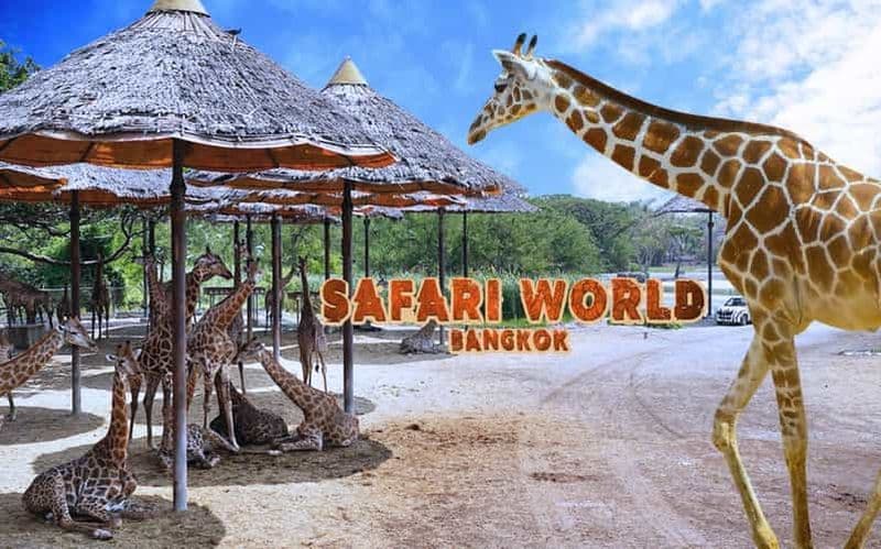 Bangkok : Safari World Service de transfert/ Billet non compris