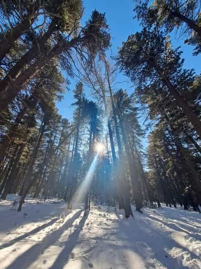 Billet Oulan-Bator : randonnée sur la montagne Bogd Khan avec visite du monastère