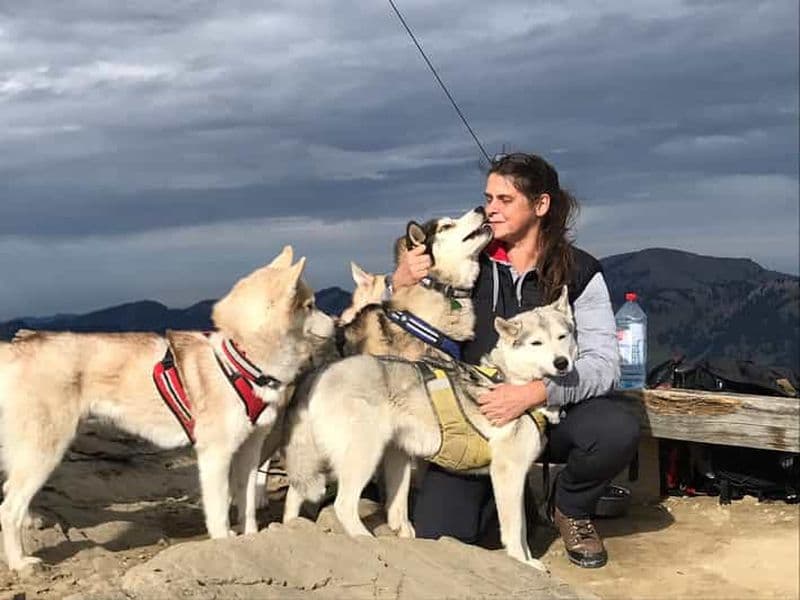 Unterallgäu : Randonnée guidée de Wiedergeltingen avec des huskies