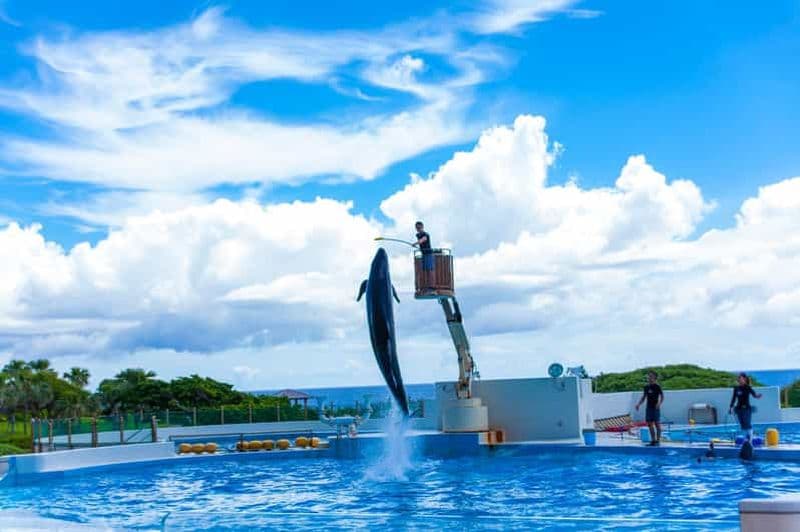 Billet Okinawa : Aquarium, île de Kouri et visite en bus du village américain