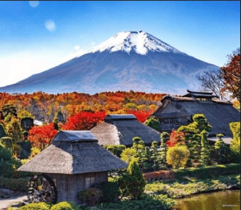 Excursion au Mont Fuji : Oshino Hakkai, lac Kawaguchi, village de guérison