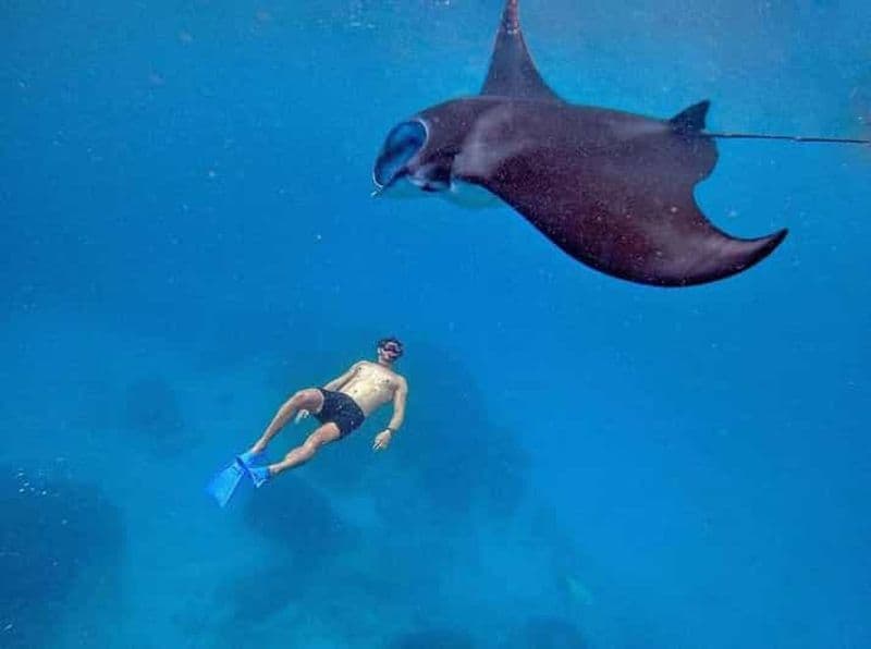 Depuis Bali : Plongée avec GoPro à 3 sites et visite de l'ouest de Penida