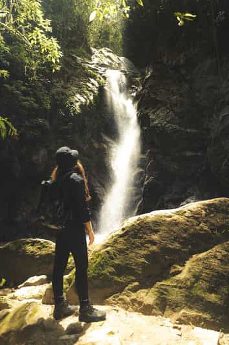 Depuis les chutes d'eau de Medellin : Randonnée guidée dans la nature