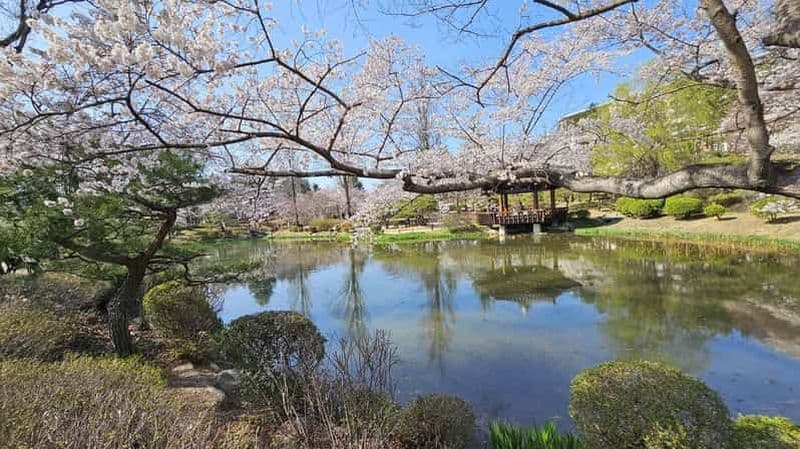 Billet Gyeongju : excursion en taxi privé avec chauffeur