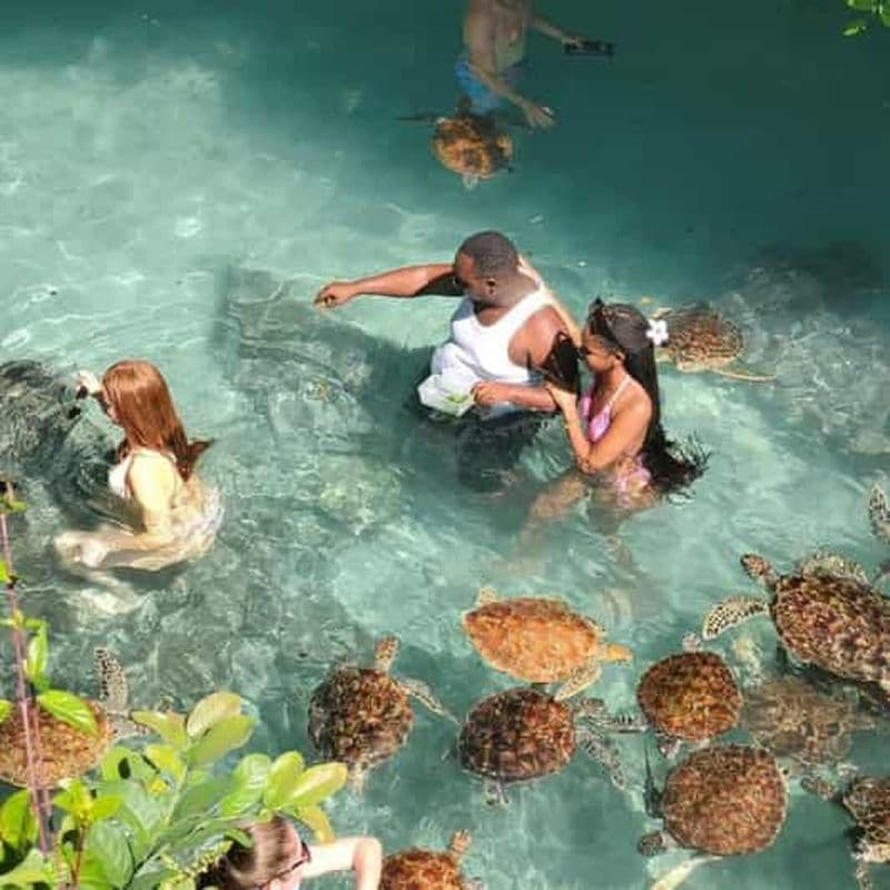 SALAAM CAVE : Nagez avec les tortues et dînez au restaurant The Rock