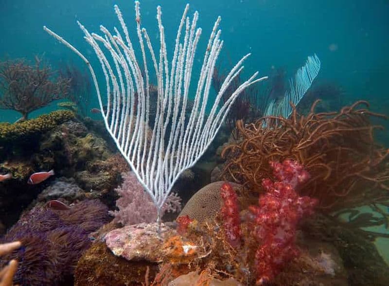 Red River Tours - Randonnée en mer à Phu Quoc