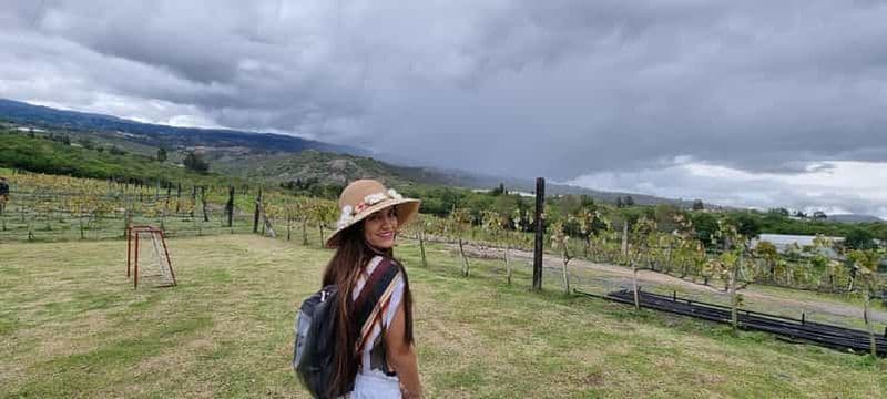 Villa de Leyva : visite de vignoble avec dégustation de vin et déjeuner