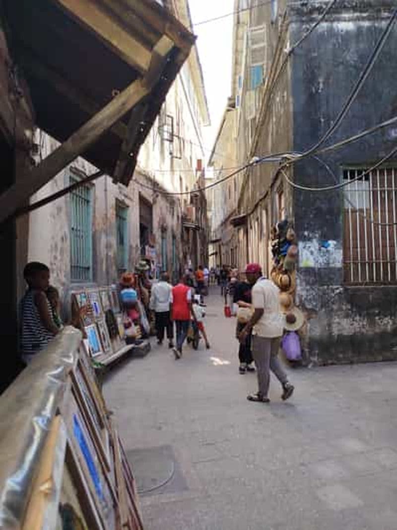 Zanzibar : transfert aéroport et visite à pied de Stone Town