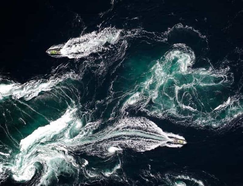 Bodø : Saltstraumen RIB Safari