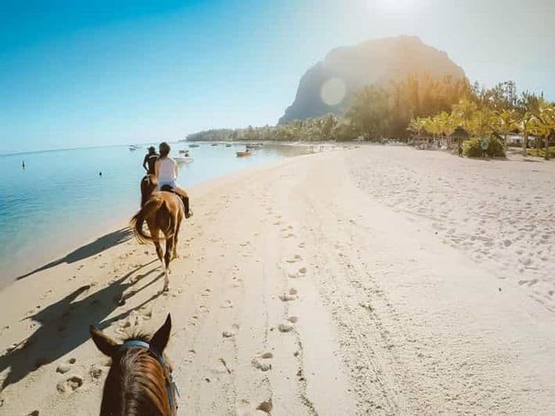 Hurghada : Excursion à cheval dans le désert et la mer avec transfert