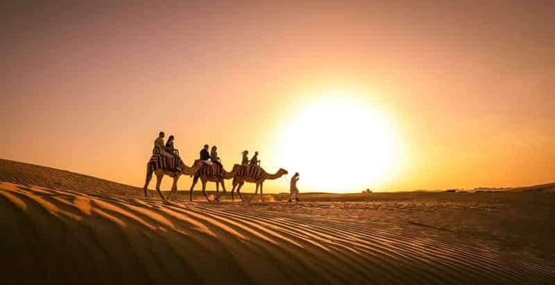 Dubaï : Randonnée à dos de chameau au coucher du soleil, camp Al Khayma, observation des étoiles et barbecue