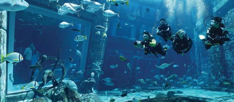 Dubaï : expérience de plongée à l'aquarium Lost World Atlantis