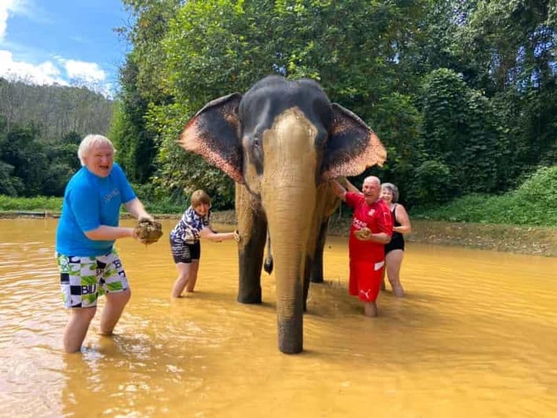Khao Lak : Khao Sok : garde privée d'éléphants et rafting en bambou