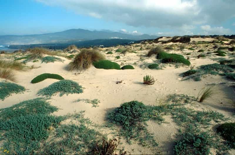 Sintra Cascais Top trekking