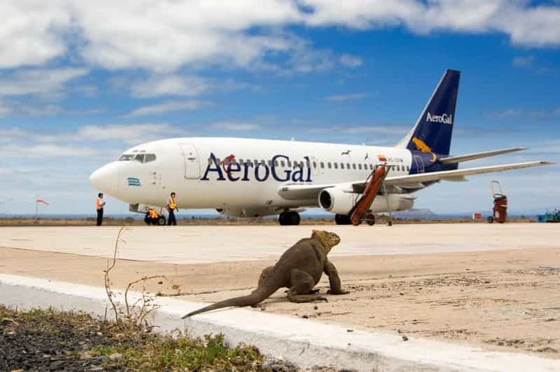 GPS Galapagos Transferts aéroport et visites des points forts