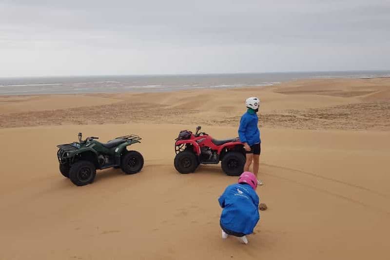 Billet Essaouira P3 : excursion en quad, forêt, plage et dunes (transfert gratuit)