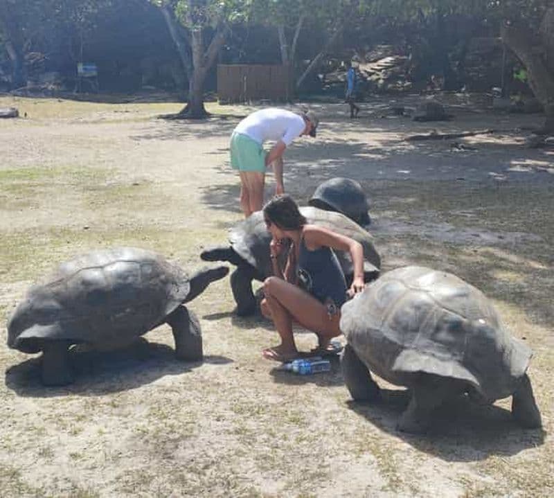 Billet Visite guidée de Curieuse, Saint-Pierre, barbecue et 2 arrêts de snorkeling