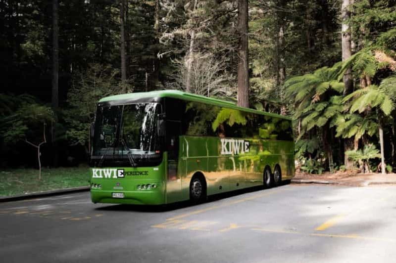 Nouvelle-Zélande : National Hop-On Hop-Off Pass