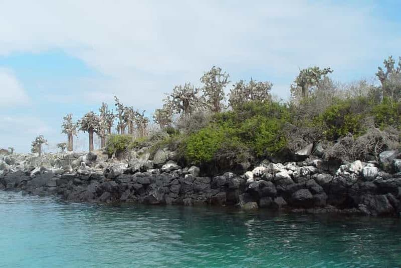 Billet Île de Santa Fe et plage cachée - plongée en apnée
