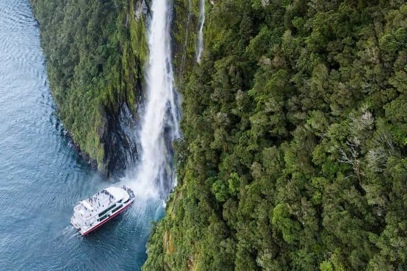Depuis Te Anau : Visite en bus de Milford Sound et croisière commentée