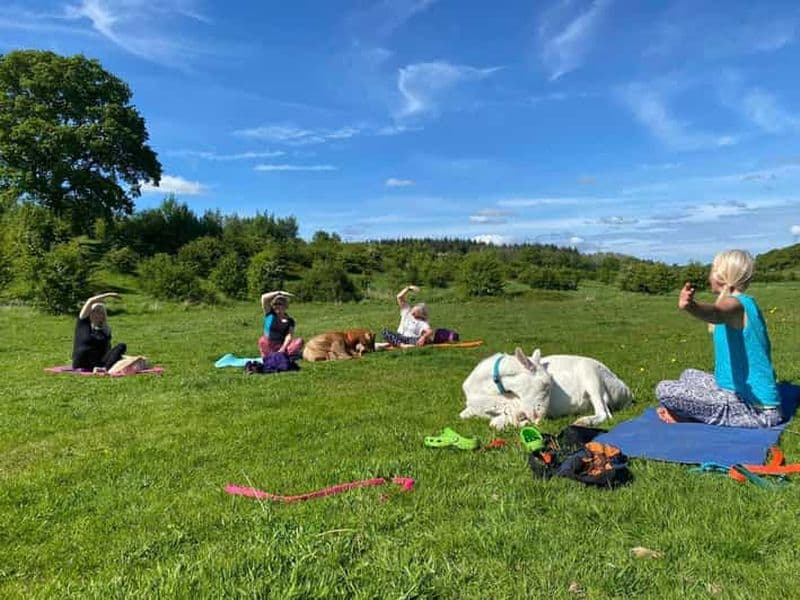 Canterbury : Yoga avec des chèvres et des moutons
