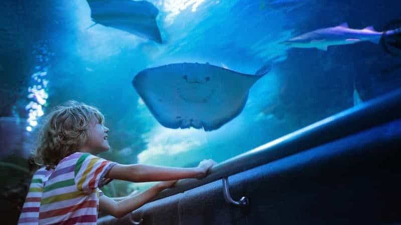 Antalya : aquarium, musée de cire, Snow World et Wild Park - Billet