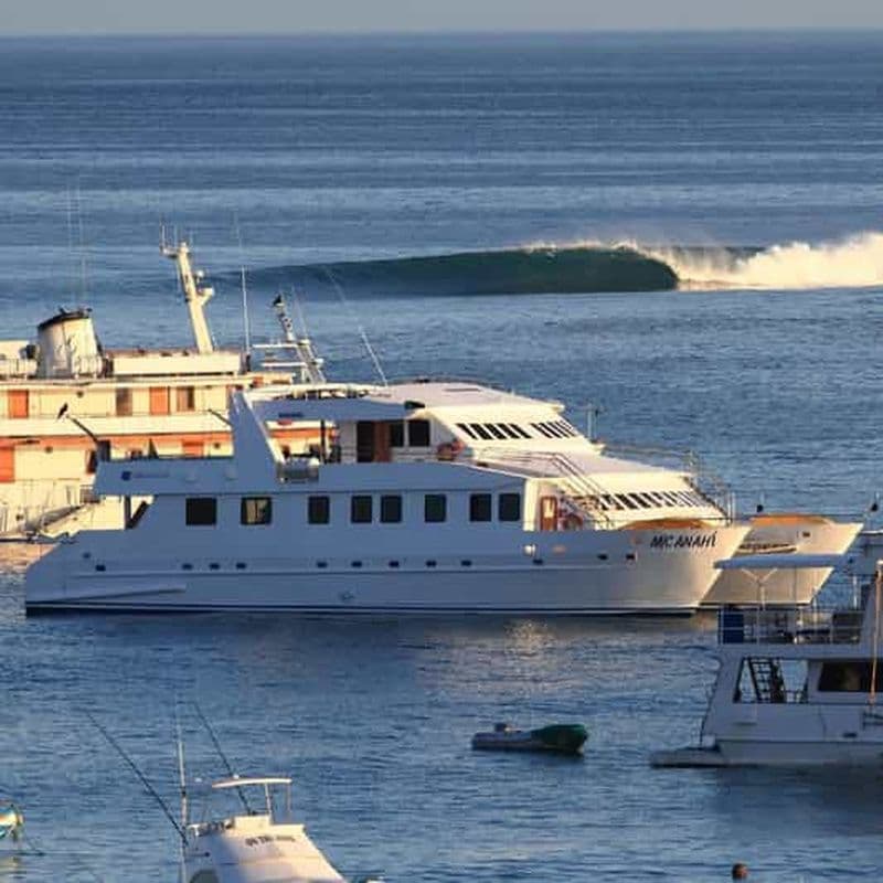 Billet Galapagos: Surf Guiding Session with Local Pro Surfer
