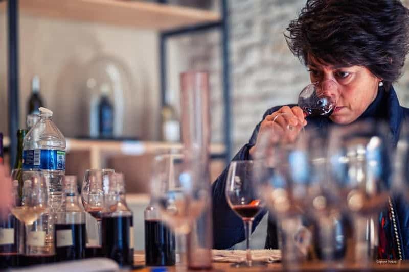 Billet Château de Terride : visite du chai de vinification & dégustation de vins