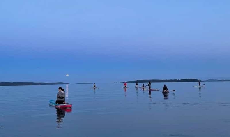 Oak Bay : Expérience de pleine lune en canoë-kayak
