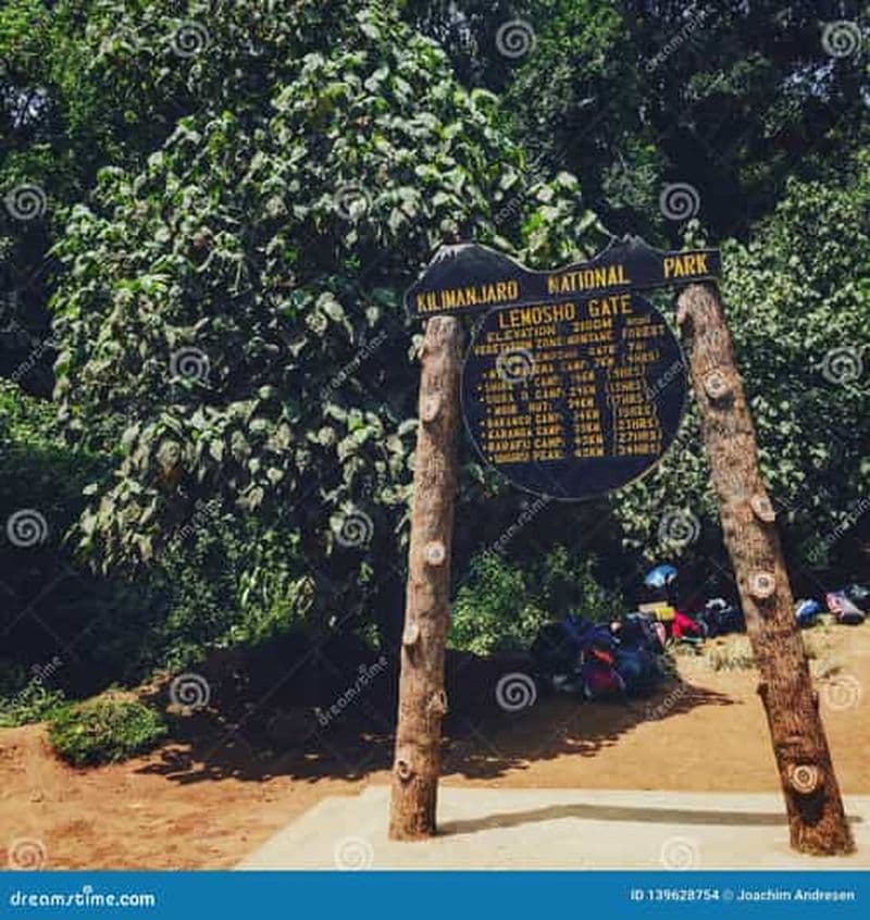 Parc national du Kilimandjaro - 8 jours sur la route de Lemosho