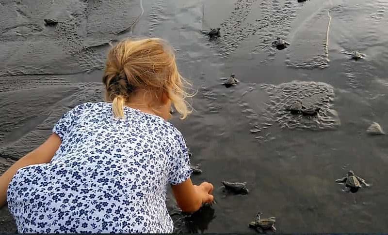 Bahia Solano avec les baleines
