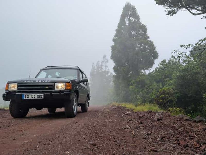 Billet Faial : visite privée d'une demi-journée en 4x4 avec un guide de la région
