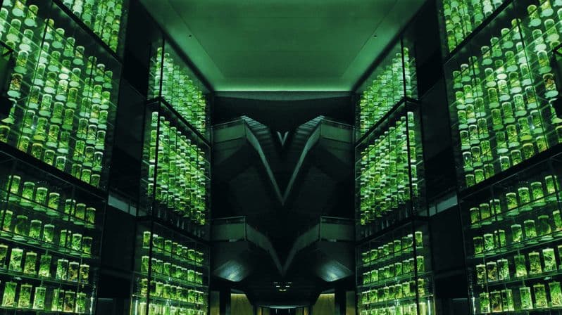 Guangzhou : Musée de la médecine traditionnelle chinoise de Guangdong