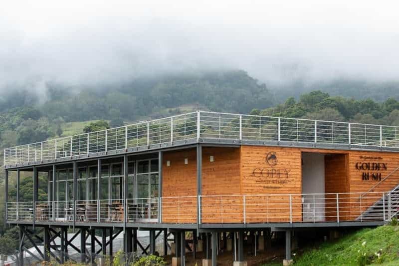 Visite des vignobles et ruée vers l'or