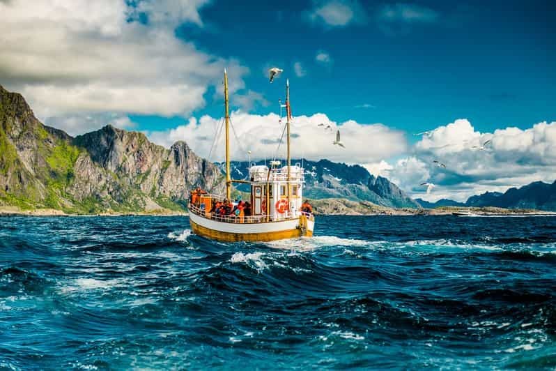 Lofoten : excursion de pêche traditionnelle