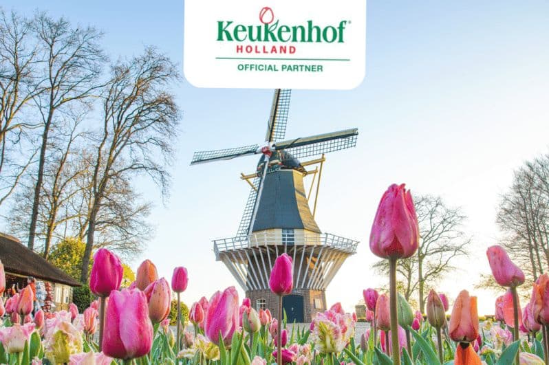 Depuis Rotterdam : visite en bus de luxe avec billet pour Keukenhof