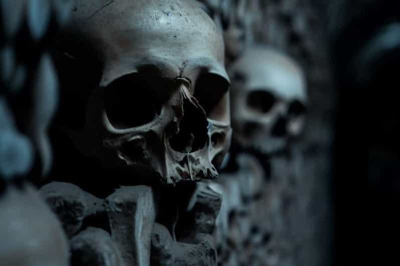 Paris : catacombes, audioguide et croisière fluviale en option