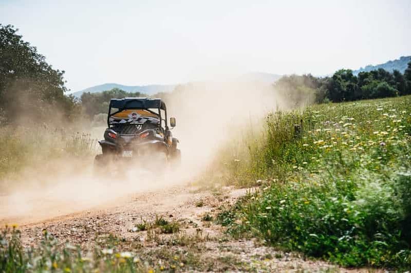 Albufeira : Aventure en buggy tout-terrain
