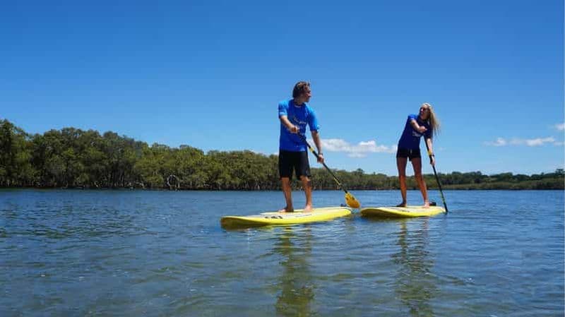 Byron Bay : Excursion en groupe de 2,5 heures en Stand-Up Paddle Board