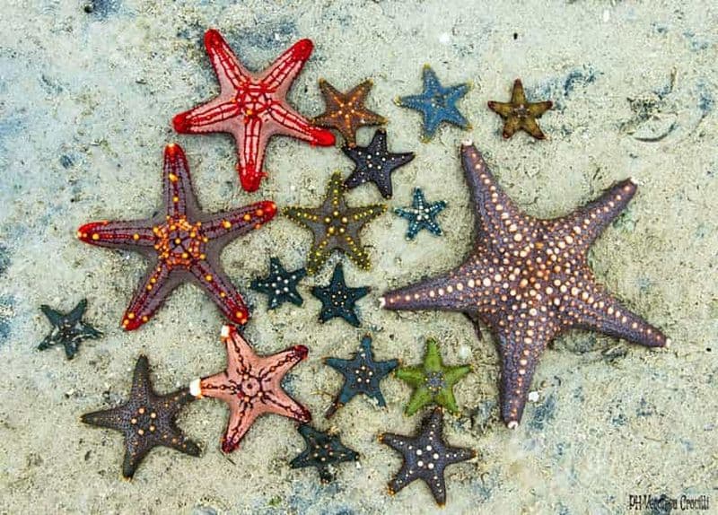 Zanzibar : The Rock Restaurant, Paje Beach, Salaam Cave Tour