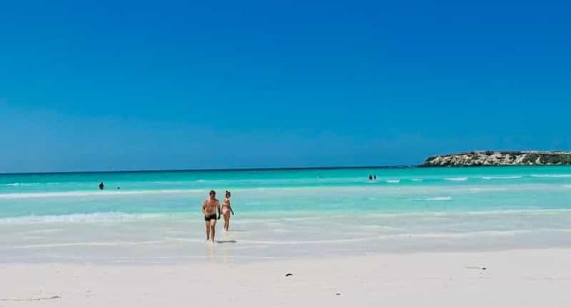 Billet Perth : 4x4/ Wedge Island et observation des étoiles aux Pinnacles