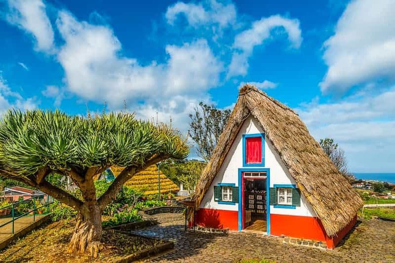 Madère : le meilleur de l'Est au départ de Funchal