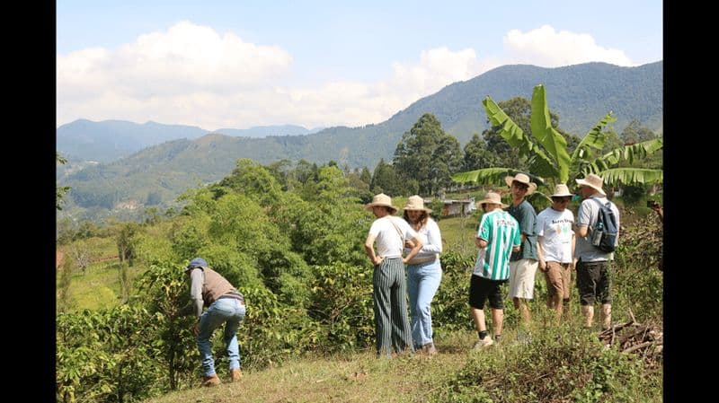 Billet Salento : Visite traditionnelle du café avec promenade en Jeep Willys
