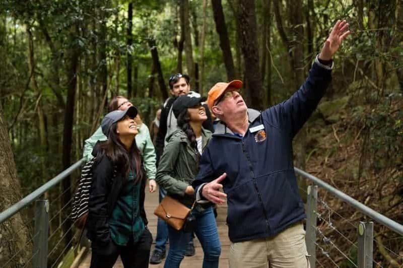 Montagnes Bleues, Scenic World, faune et cascade (petit groupe*)