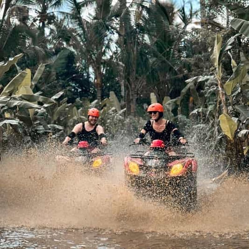 Billet Ubud : Visite guidée d'une aventure en VTT et en quad
