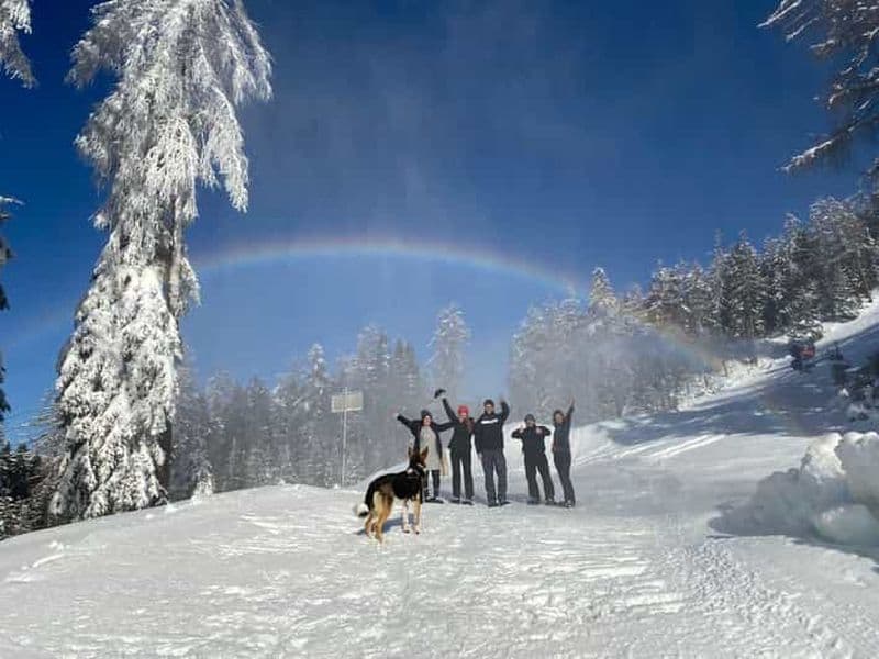 Ehrwald : Randonnée en raquettes à Zugspitze avec vue sur les montagnes